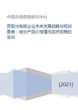 异型光电板企业未来发展战略与规划图表 细分产品价格情况政府政策的变动